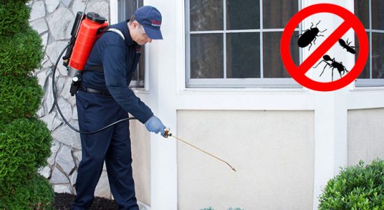 Mahmudiye Hamam Böceği İlaçlama böcek ilaçlama ve haşere kontrolü — ilaclama-tr.com